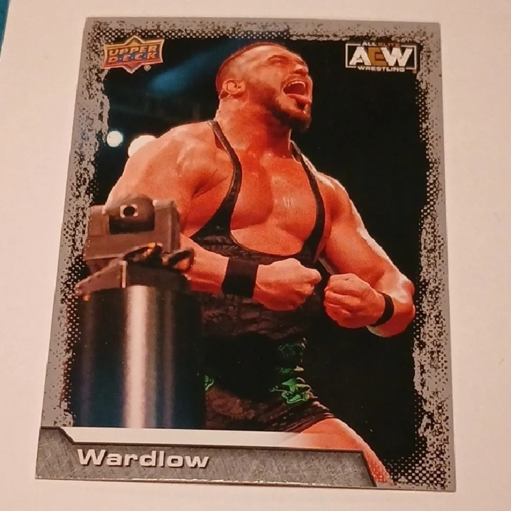 AEW Wrestling Trading Cards Set!!!